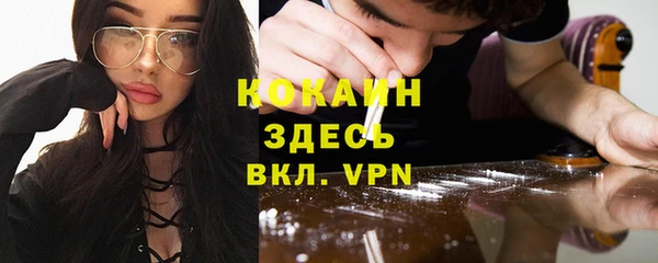 кокс Алексин