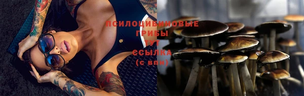 кокс Алексин