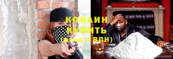 кокс Алексин